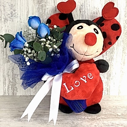 Uğur Böceği ve Mavi Güller