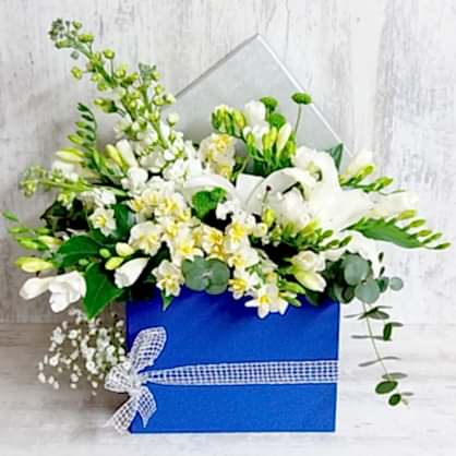 Nergis Frezya Şebboy kutu