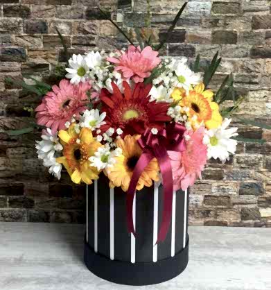 Kutuda Renkli Papatyalar