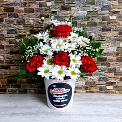 Öğretmenler Temalı Karanfil Öğretmenler Temalı Karanfil