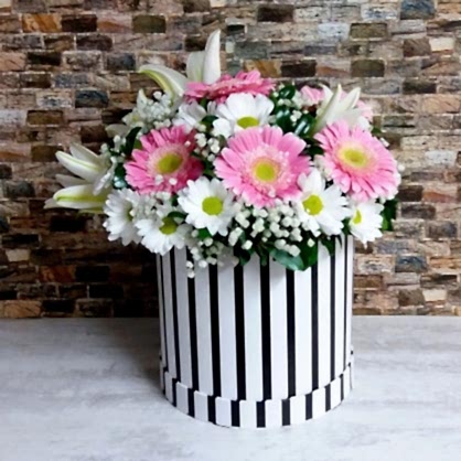 Kutuda Papatya ve Lilyumlar Kutuda Papatya ve Lilyumlar