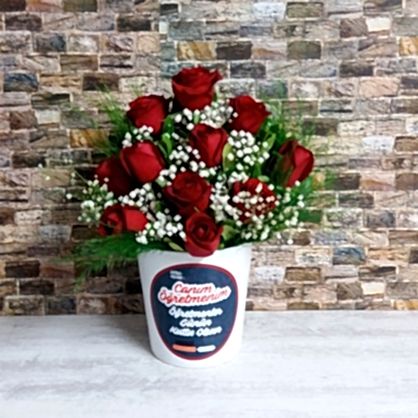 Öğretmenler Temalı Güller Öğretmenler Temalı Güller