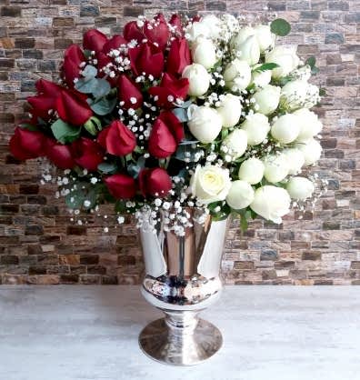 Kırmızı Beyaz Güller