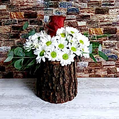 Kütükte Gül ve Papatya