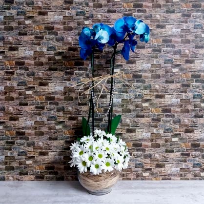 Mavi Orkide ve Papatya