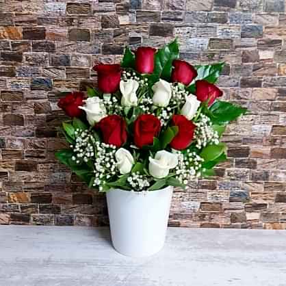 Kırmızı Beyaz Güller