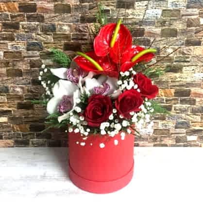 Kutuda Orkide ve Antorium