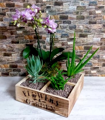 Tahtada Orkide ve Kaktüst