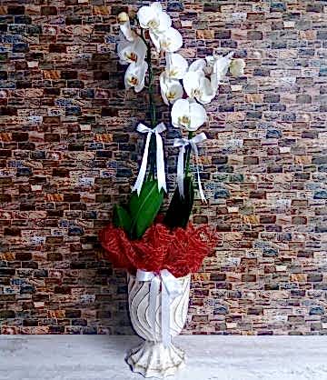 Çift Dal Beyaz Orkide