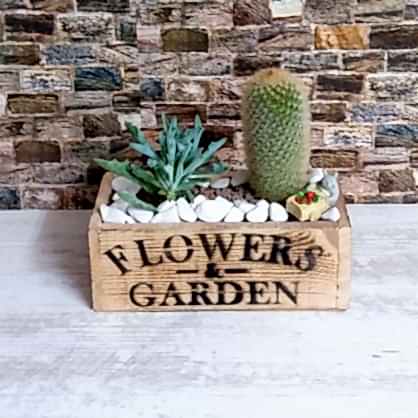 Eskiltme Altlıkta Terrarıum