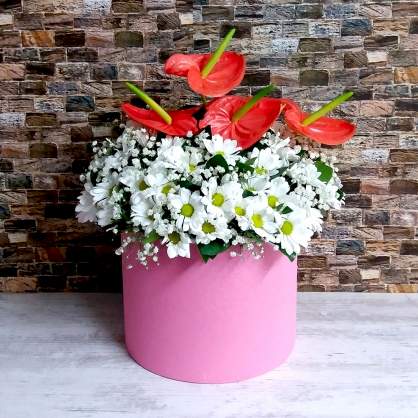 Kutuda Antorium ve Papatyalar Kutuda Antorium ve Papatyalar