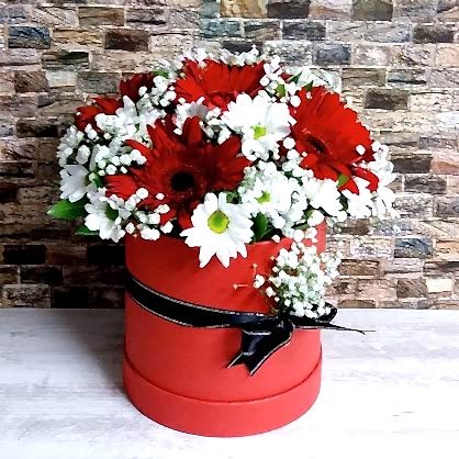 Kırmızı Kutuda Papatyalar Kırmızı Kutuda Papatyalar