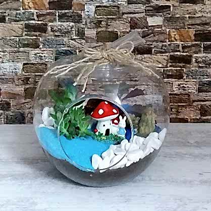 Küçük Elma Teraryum