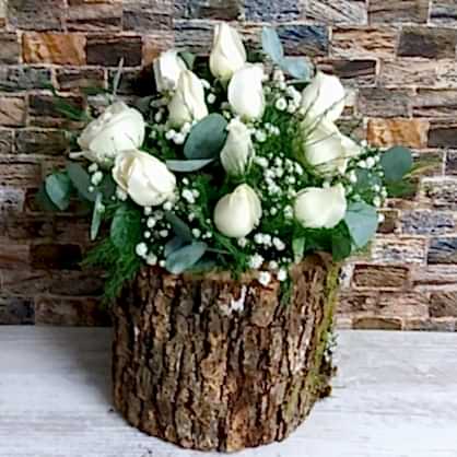 Kütükte Beyaz Gül