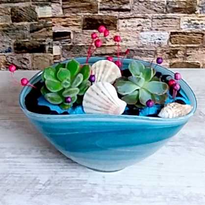 Mavi Camda Sukulent