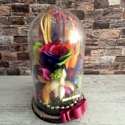 Ölmeyen Rengarenk Gül