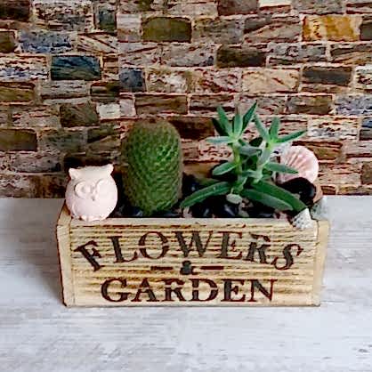 Küçük Ahşap Terrarıum