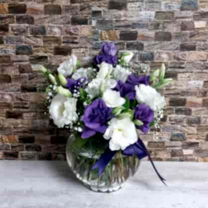 Mor Beyaz Lisyantuslar