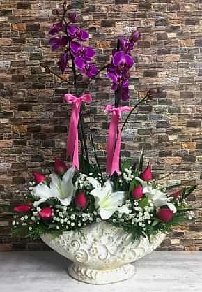 Gondol Vazoda Orkide