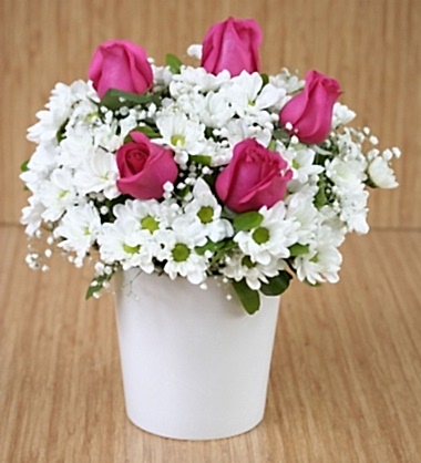 Pembe Güller ve Papatyalar