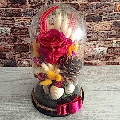 Ölmeyen Fuşya Gül