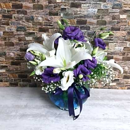 Kazablanka Mor Lisyantuslar