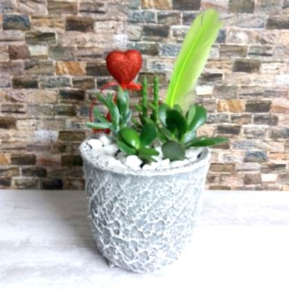 Eskiltme Vazoda Teraryum