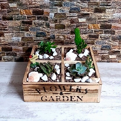 Eskiltme Tahtada Terrarıum