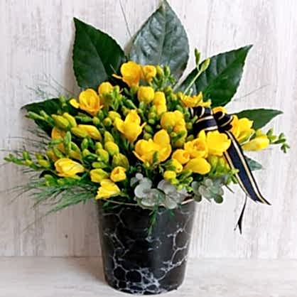 Sarı Mis Kokulu Frezyalar Sarı Mis Kokulu Frezyalar