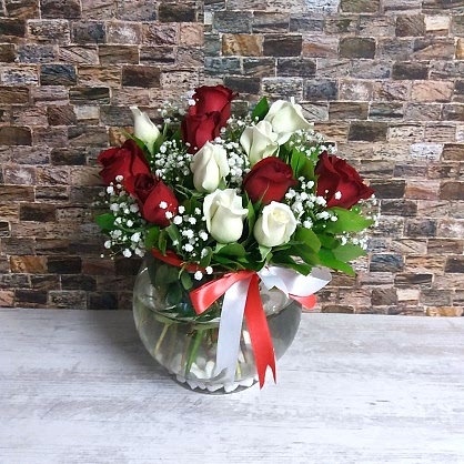 Kırmızı Beyaz Güller