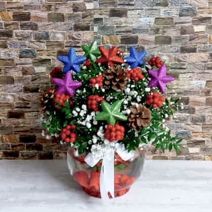 Kokina Çiçeği Kokina Çiçeği