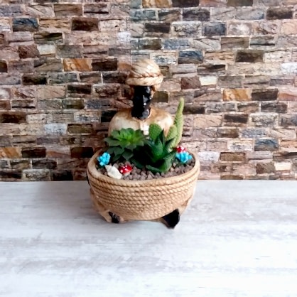 Hint Figürlü Teraryum 2