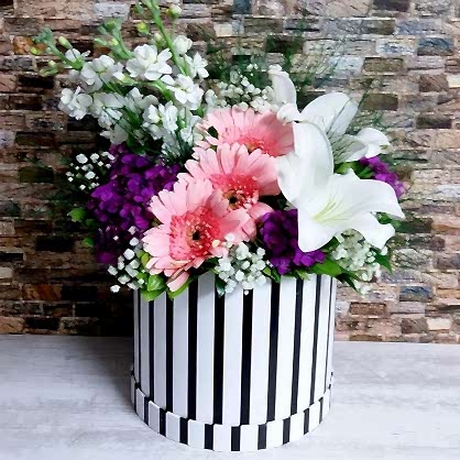 Zebra Kutuda Çiçekler Zebra Kutuda Çiçekler