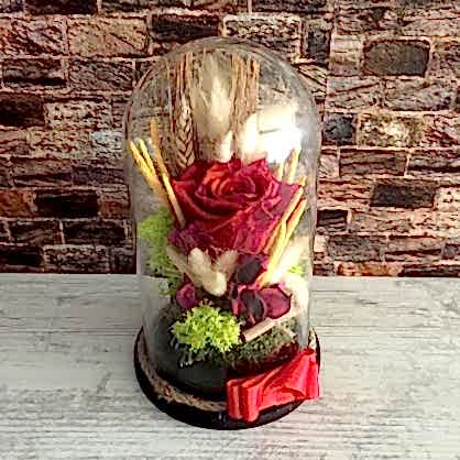 Ölmeyen Kırmzı Gül