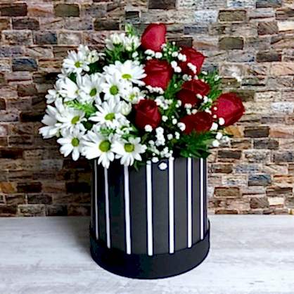 Kutuda Gül ve Papatya