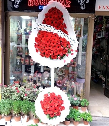 Kırmızı Ayaklı Duvak