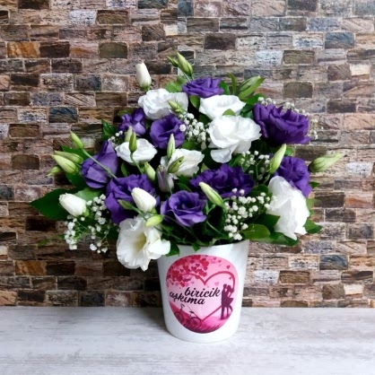 Beyaz Mor Lisyantus Beyaz Mor Lisyantus