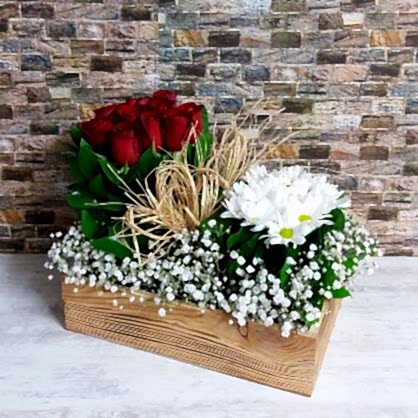 Güller ve Papatyalar