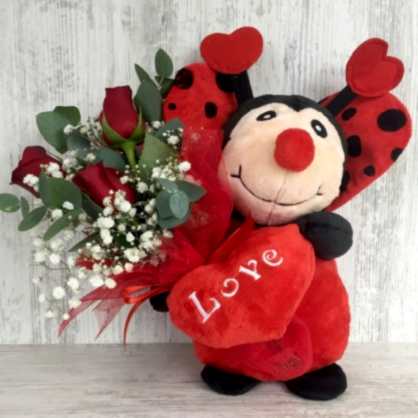 Uğur Böceği ve Güller