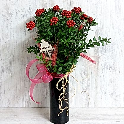 Kokina Çiçeği Vazoda 2 Kokina Çiçeği Vazoda 2