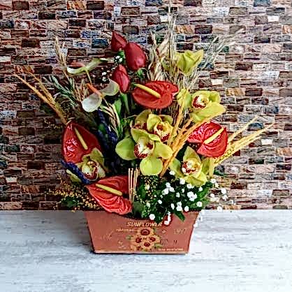 Teneke Kutuda Aranjman