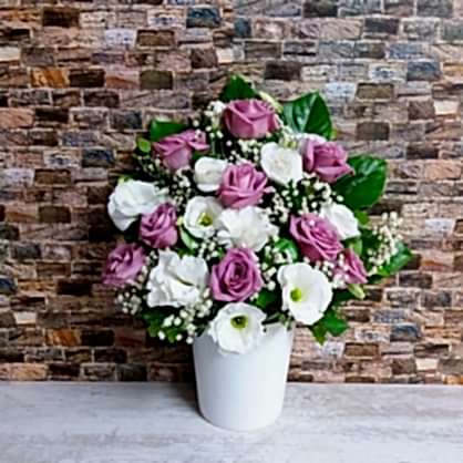 Mürdüm Gülleri Beyaz Lisyantus