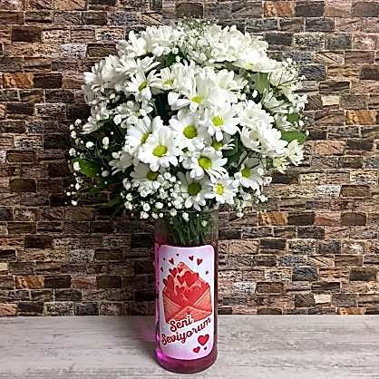 Seni Seviyorum Papatyaları