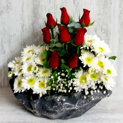 Taşta Gül ve Papatyalar