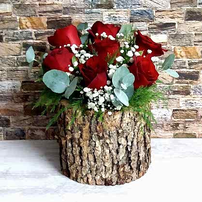 Kütükte Kırmızı Gül