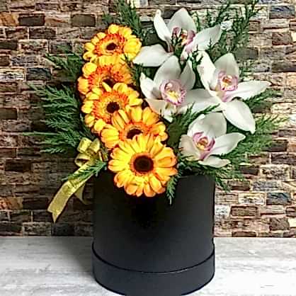Kutuda Gerbera ve Orkide