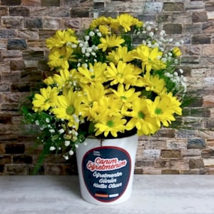 Öğretmenler Temalı Sarı Papatya Öğretmenler Temalı Sarı Papatya