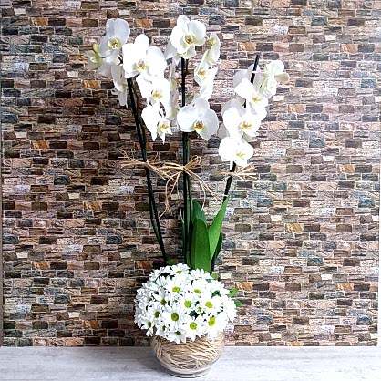 3 Dal Orkide ve Papatya 3 Dal Orkide ve Papatya