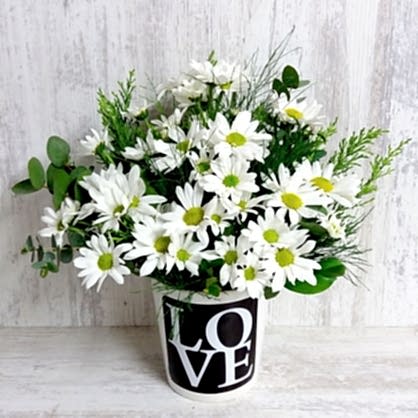 Zarif Aşk Papatyaları