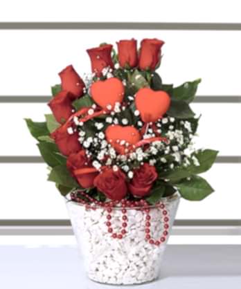 Sevgiliye Kırmızı Güller